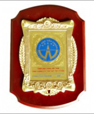 Danh hiệu hàng Việt Nam chất lượng cao phù hợp tiêu chuẩn